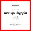 เพาะปลูก, ธัญญพืช ภาษาจีนคืออะไร, คำศัพท์ภาษาไทย - จีน เพาะปลูก, ธัญญพืช ภาษาจีน 稼 คำอ่าน [jià ]