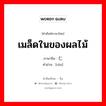 仁 ภาษาไทย?, คำศัพท์ภาษาไทย - จีน 仁 ภาษาจีน เมล็ดในของผลไม้ คำอ่าน [rén]