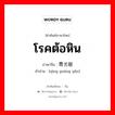 โรคต้อหิน ภาษาจีนคืออะไร, คำศัพท์ภาษาไทย - จีน โรคต้อหิน ภาษาจีน 青光眼 คำอ่าน [qīng guāng yǎn]