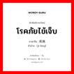 โรคภัยไข้เจ็บ ภาษาจีนคืออะไร, คำศัพท์ภาษาไทย - จีน โรคภัยไข้เจ็บ ภาษาจีน 疾病 คำอ่าน [jí bìng]