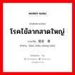 โรคไข้ลากสาดใหญ่ ภาษาจีนคืออะไร, คำศัพท์ภาษาไทย - จีน โรคไข้ลากสาดใหญ่ ภาษาจีน 斑疹伤寒 คำอ่าน [bān zhěn shāng hán]