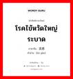 流感 ภาษาไทย?, คำศัพท์ภาษาไทย - จีน 流感 ภาษาจีน โรคไข้หวัดใหญ่ระบาด คำอ่าน [liú gǎn]