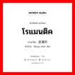 โรแมนติค ภาษาจีนคืออะไร, คำศัพท์ภาษาไทย - จีน โรแมนติค ภาษาจีน 浪漫的 คำอ่าน [làng màn de]