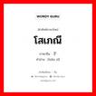 โสเภณี ภาษาจีนคืออะไร, คำศัพท์ภาษาไทย - จีน โสเภณี ภาษาจีน 婊子 คำอ่าน [biǎo zǐ]