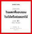 ใบแตกที่ขอบของใบไม้หรือช่อดอกไม้ ภาษาจีนคืออะไร, คำศัพท์ภาษาไทย - จีน ใบแตกที่ขอบของใบไม้หรือช่อดอกไม้ ภาษาจีน 裂片 คำอ่าน [liè piàn]