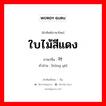 ใบไม้สีแดง ภาษาจีนคืออะไร, คำศัพท์ภาษาไทย - จีน ใบไม้สีแดง ภาษาจีน 红叶 คำอ่าน [hóng yè]