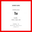 ใย ภาษาจีนคืออะไร, คำศัพท์ภาษาไทย - จีน ใย ภาษาจีน 纤维 คำอ่าน [xiān wéi]