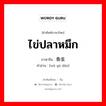 ไข่ปลาหมึก ภาษาจีนคืออะไร, คำศัพท์ภาษาไทย - จีน ไข่ปลาหมึก ภาษาจีน 乌鱼蛋 คำอ่าน [wū yú dàn]