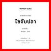 ไซจับปลา ภาษาจีนคืออะไร, คำศัพท์ภาษาไทย - จีน ไซจับปลา ภาษาจีน 罶 คำอ่าน [liǔ]