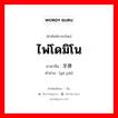 ไพ่โดมิโน ภาษาจีนคืออะไร, คำศัพท์ภาษาไทย - จีน ไพ่โดมิโน ภาษาจีน 牙牌 คำอ่าน [yá pái]