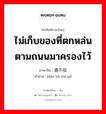 ไม่เก็บของที่ตกหล่นตามถนนมาครองไว้ ภาษาจีนคืออะไร, คำศัพท์ภาษาไทย - จีน ไม่เก็บของที่ตกหล่นตามถนนมาครองไว้ ภาษาจีน 道不拾遗 คำอ่าน [dào bù shí yí]