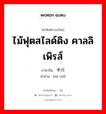 ไม้ฟุตสไลด์ดิง คาลลิเพิรส์ ภาษาจีนคืออะไร, คำศัพท์ภาษาไทย - จีน ไม้ฟุตสไลด์ดิง คาลลิเพิรส์ ภาษาจีน 卡尺 คำอ่าน [kǎ chǐ]