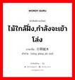 ไม้ใกล้ฝั่ง,กำลังจะเข้าโล่ง ภาษาจีนคืออะไร, คำศัพท์ภาษาไทย - จีน ไม้ใกล้ฝั่ง,กำลังจะเข้าโล่ง ภาษาจีน 行将就木 คำอ่าน [xíng jiāng jiù mù]