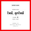 ไหม้, ลุกไหม้ ภาษาจีนคืออะไร, คำศัพท์ภาษาไทย - จีน ไหม้, ลุกไหม้ ภาษาจีน 燃 คำอ่าน [rán]