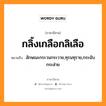 กลิ้งเกลือกลิเลือ หมายถึงอะไร, ภาษาอีสาน กลิ้งเกลือกลิเลือ หมายถึง ลักษณะกระวนกระวาย,ทุรนทุราย,กระฉับกระส่าย หมวด กลิ้ง - เกลือก - ลิ - เลือ