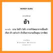 ช้า ภาษาอีสาน?, หมายถึง ช้า หมวด ซ่า