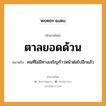 สำนวนไทย: ตาลยอดด้วน หมายถึง?, สํานวนไทย ตาลยอดด้วน หมายถึง คนที่ไม่มีทางเจริญก้าวหน้าต่อไปอีกแล้ว คำนาม คน