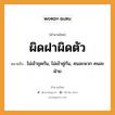 สำนวนไทย: ผิดฝาผิดตัว หมายถึง?, สํานวนไทย ผิดฝาผิดตัว หมายถึง ไม่เข้าชุดกัน, ไม่เข้าคู่กัน, คนละพวก คนละฝ่าย