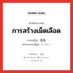 การสร้างเม็ดเลือด ภาษาญี่ปุ่นคืออะไร, คำศัพท์ภาษาไทย - ญี่ปุ่น การสร้างเม็ดเลือด ภาษาญี่ปุ่น 造血 คำอ่านภาษาญี่ปุ่น ぞうけつ หมวด n หมวด n