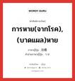 การหาย(จากโรค),(บาดแผล)หาย ภาษาญี่ปุ่นคืออะไร, คำศัพท์ภาษาไทย - ญี่ปุ่น การหาย(จากโรค),(บาดแผล)หาย ภาษาญี่ปุ่น 治癒 คำอ่านภาษาญี่ปุ่น ちゆ หมวด n หมวด n