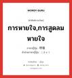 การหายใจ,การสูดลมหายใจ ภาษาญี่ปุ่นคืออะไร, คำศัพท์ภาษาไทย - ญี่ปุ่น การหายใจ,การสูดลมหายใจ ภาษาญี่ปุ่น 呼吸 คำอ่านภาษาญี่ปุ่น こきゅう หมวด n หมวด n