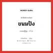 ขนมปัง ภาษาญี่ปุ่นคืออะไร, คำศัพท์ภาษาไทย - ญี่ปุ่น ขนมปัง ภาษาญี่ปุ่น パン หมวด n หมวด n