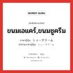 ขนมเอแคร์,ขนมชูครีม ภาษาญี่ปุ่นคืออะไร, คำศัพท์ภาษาไทย - ญี่ปุ่น ขนมเอแคร์,ขนมชูครีม ภาษาญี่ปุ่น シュークリーム คำอ่านภาษาญี่ปุ่น シュークリーム หมวด n หมวด n