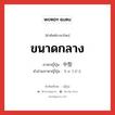 ขนาดกลาง ภาษาญี่ปุ่นคืออะไร, คำศัพท์ภาษาไทย - ญี่ปุ่น ขนาดกลาง ภาษาญี่ปุ่น 中型 คำอ่านภาษาญี่ปุ่น ちゅうがた หมวด n หมวด n