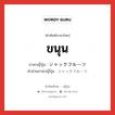 ขนุน ภาษาญี่ปุ่นคืออะไร, คำศัพท์ภาษาไทย - ญี่ปุ่น ขนุน ภาษาญี่ปุ่น ジャックフルーツ คำอ่านภาษาญี่ปุ่น ジャックフルーツ หมวด n หมวด n