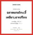 ฉลาดแกมโกง,ขี้เหนียว,เอาเปรียบ ภาษาญี่ปุ่นคืออะไร, คำศัพท์ภาษาไทย - ญี่ปุ่น ฉลาดแกมโกง,ขี้เหนียว,เอาเปรียบ ภาษาญี่ปุ่น せこい คำอ่านภาษาญี่ปุ่น せこい หมวด adj-i หมวด adj-i