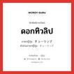 ดอกทิวลิป ภาษาญี่ปุ่นคืออะไร, คำศัพท์ภาษาไทย - ญี่ปุ่น ดอกทิวลิป ภาษาญี่ปุ่น チューリップ คำอ่านภาษาญี่ปุ่น チューリップ หมวด n หมวด n