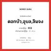 ดอกบัว,อุบล,ลินจง ภาษาญี่ปุ่นคืออะไร, คำศัพท์ภาษาไทย - ญี่ปุ่น ดอกบัว,อุบล,ลินจง ภาษาญี่ปุ่น 睡蓮 คำอ่านภาษาญี่ปุ่น すいれん หมวด n หมวด n