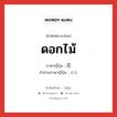 花 ภาษาไทย?, คำศัพท์ภาษาไทย - ญี่ปุ่น 花 ภาษาญี่ปุ่น ดอกไม้ คำอ่านภาษาญี่ปุ่น はな หมวด n หมวด n