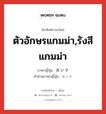 ตัวอักษรแกมม่า,รังสีแกมม่า ภาษาญี่ปุ่นคืออะไร, คำศัพท์ภาษาไทย - ญี่ปุ่น ตัวอักษรแกมม่า,รังสีแกมม่า ภาษาญี่ปุ่น ガンマ คำอ่านภาษาญี่ปุ่น ガンマ หมวด n หมวด n