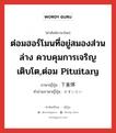 ต่อมฮอร์โมนที่อยู่สมองส่วนล่าง ควบคุมการเจริญเติบโต,ต่อม pituitary ภาษาญี่ปุ่นคืออะไร, คำศัพท์ภาษาไทย - ญี่ปุ่น ต่อมฮอร์โมนที่อยู่สมองส่วนล่าง ควบคุมการเจริญเติบโต,ต่อม pituitary ภาษาญี่ปุ่น 下垂体 คำอ่านภาษาญี่ปุ่น かすいたい หมวด n หมวด n