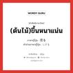 (ต้นไม้)ขึ้นหนาแน่น ภาษาญี่ปุ่นคืออะไร, คำศัพท์ภาษาไทย - ญี่ปุ่น (ต้นไม้)ขึ้นหนาแน่น ภาษาญี่ปุ่น 茂る คำอ่านภาษาญี่ปุ่น しげる หมวด v5r หมวด v5r