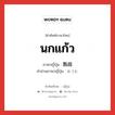 นกแก้ว ภาษาญี่ปุ่นคืออะไร, คำศัพท์ภาษาไทย - ญี่ปุ่น นกแก้ว ภาษาญี่ปุ่น 鸚鵡 คำอ่านภาษาญี่ปุ่น おうむ หมวด n หมวด n