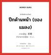 ปีกด้านหน้า (ของแมลง) ภาษาญี่ปุ่นคืออะไร, คำศัพท์ภาษาไทย - ญี่ปุ่น ปีกด้านหน้า (ของแมลง) ภาษาญี่ปุ่น 前翅 คำอ่านภาษาญี่ปุ่น ぜんし หมวด n หมวด n