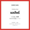 ผลลัพธ์ ภาษาญี่ปุ่นคืออะไร, คำศัพท์ภาษาไทย - ญี่ปุ่น ผลลัพธ์ ภาษาญี่ปุ่น 結果 คำอ่านภาษาญี่ปุ่น けっか หมวด n-adv หมวด n-adv