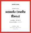 ผอมแห้ง (จนเห็นซี่โครง) ภาษาญี่ปุ่นคืออะไร, คำศัพท์ภาษาไทย - ญี่ปุ่น ผอมแห้ง (จนเห็นซี่โครง) ภาษาญี่ปุ่น ガリガリ คำอ่านภาษาญี่ปุ่น ガリガリ หมวด adj-na หมวด adj-na