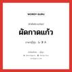 ผัดกาดแก้ว ภาษาญี่ปุ่นคืออะไร, คำศัพท์ภาษาไทย - ญี่ปุ่น ผัดกาดแก้ว ภาษาญี่ปุ่น レタス หมวด n หมวด n