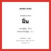 ฝิ่น ภาษาญี่ปุ่นคืออะไร, คำศัพท์ภาษาไทย - ญี่ปุ่น ฝิ่น ภาษาญี่ปุ่น ケシ คำอ่านภาษาญี่ปุ่น ケシ หมวด n หมวด n