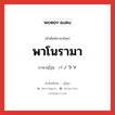 พาโนรามา ภาษาญี่ปุ่นคืออะไร, คำศัพท์ภาษาไทย - ญี่ปุ่น พาโนรามา ภาษาญี่ปุ่น パノラマ หมวด n หมวด n