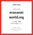 ละอองเกสรดอกไม้,เรณู ภาษาญี่ปุ่นคืออะไร, คำศัพท์ภาษาไทย - ญี่ปุ่น ละอองเกสรดอกไม้,เรณู ภาษาญี่ปุ่น 花粉 คำอ่านภาษาญี่ปุ่น かふん หมวด n หมวด n