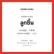 ลูกชิ้น ภาษาญี่ปุ่นคืออะไร, คำศัพท์ภาษาไทย - ญี่ปุ่น ลูกชิ้น ภาษาญี่ปุ่น つみれ คำอ่านภาษาญี่ปุ่น つみれ หมวด n หมวด n