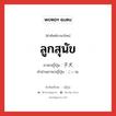 ลูกสุนัข ภาษาญี่ปุ่นคืออะไร, คำศัพท์ภาษาไทย - ญี่ปุ่น ลูกสุนัข ภาษาญี่ปุ่น 子犬 คำอ่านภาษาญี่ปุ่น こいぬ หมวด n หมวด n