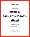 สภาพของสังคม,สภาพชีวิตความเป็นอยู่ ภาษาญี่ปุ่นคืออะไร, คำศัพท์ภาษาไทย - ญี่ปุ่น สภาพของสังคม,สภาพชีวิตความเป็นอยู่ ภาษาญี่ปุ่น 世相 คำอ่านภาษาญี่ปุ่น せそう หมวด n หมวด n