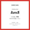 สังกะสี ภาษาญี่ปุ่นคืออะไร, คำศัพท์ภาษาไทย - ญี่ปุ่น สังกะสี ภาษาญี่ปุ่น 亜鉛 คำอ่านภาษาญี่ปุ่น あえん หมวด n หมวด n