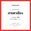 สายตาเอียง ภาษาญี่ปุ่นคืออะไร, คำศัพท์ภาษาไทย - ญี่ปุ่น สายตาเอียง ภาษาญี่ปุ่น 乱視 คำอ่านภาษาญี่ปุ่น らんし หมวด n หมวด n