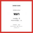 หมา ภาษาญี่ปุ่นคืออะไร, คำศัพท์ภาษาไทย - ญี่ปุ่น หมา ภาษาญี่ปุ่น 犬 คำอ่านภาษาญี่ปุ่น いぬ หมวด n หมวด n